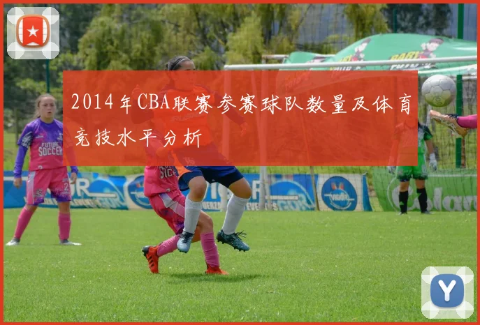 2014年CBA联赛参赛球队数量及体育竞技水平分析