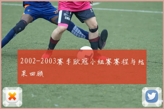 2002-2003赛季欧冠小组赛赛程与结果回顾