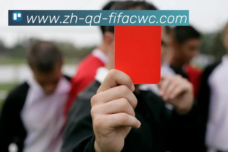 世界杯在线观看APP 封面图