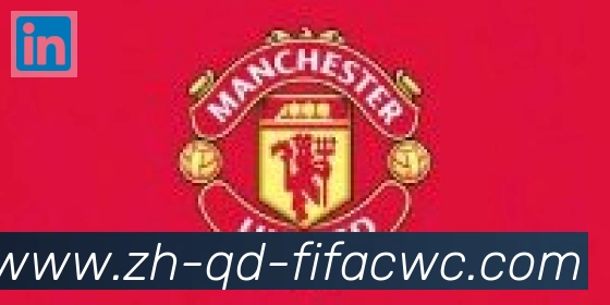 世界杯在线观看合作伙伴